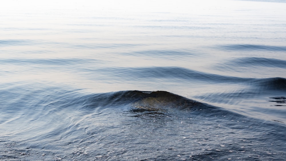 a large body of water with waves coming in and out of it