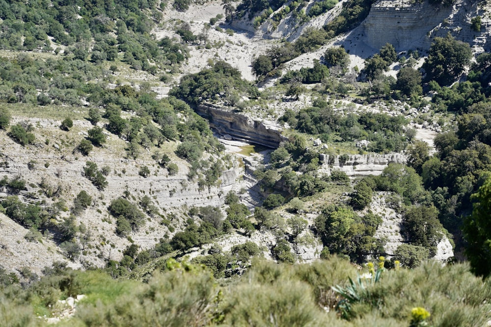 a view of a valley with trees and rocks