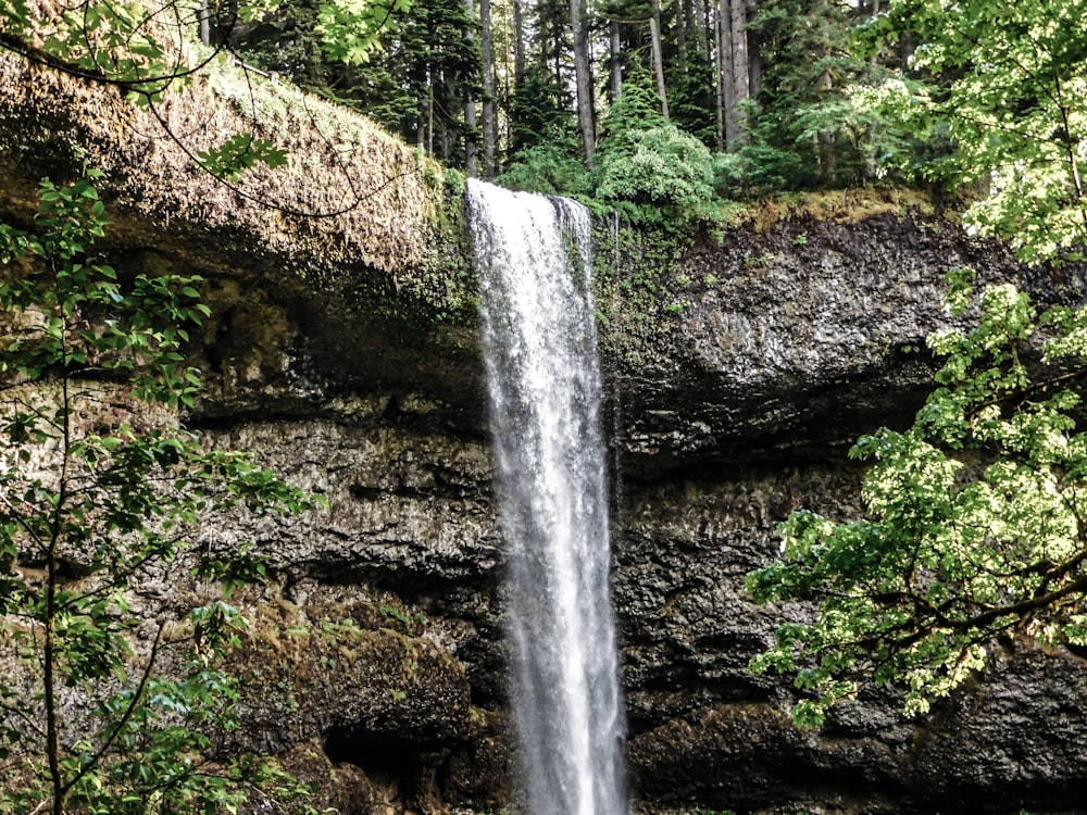 a waterfall in the middle of a forest