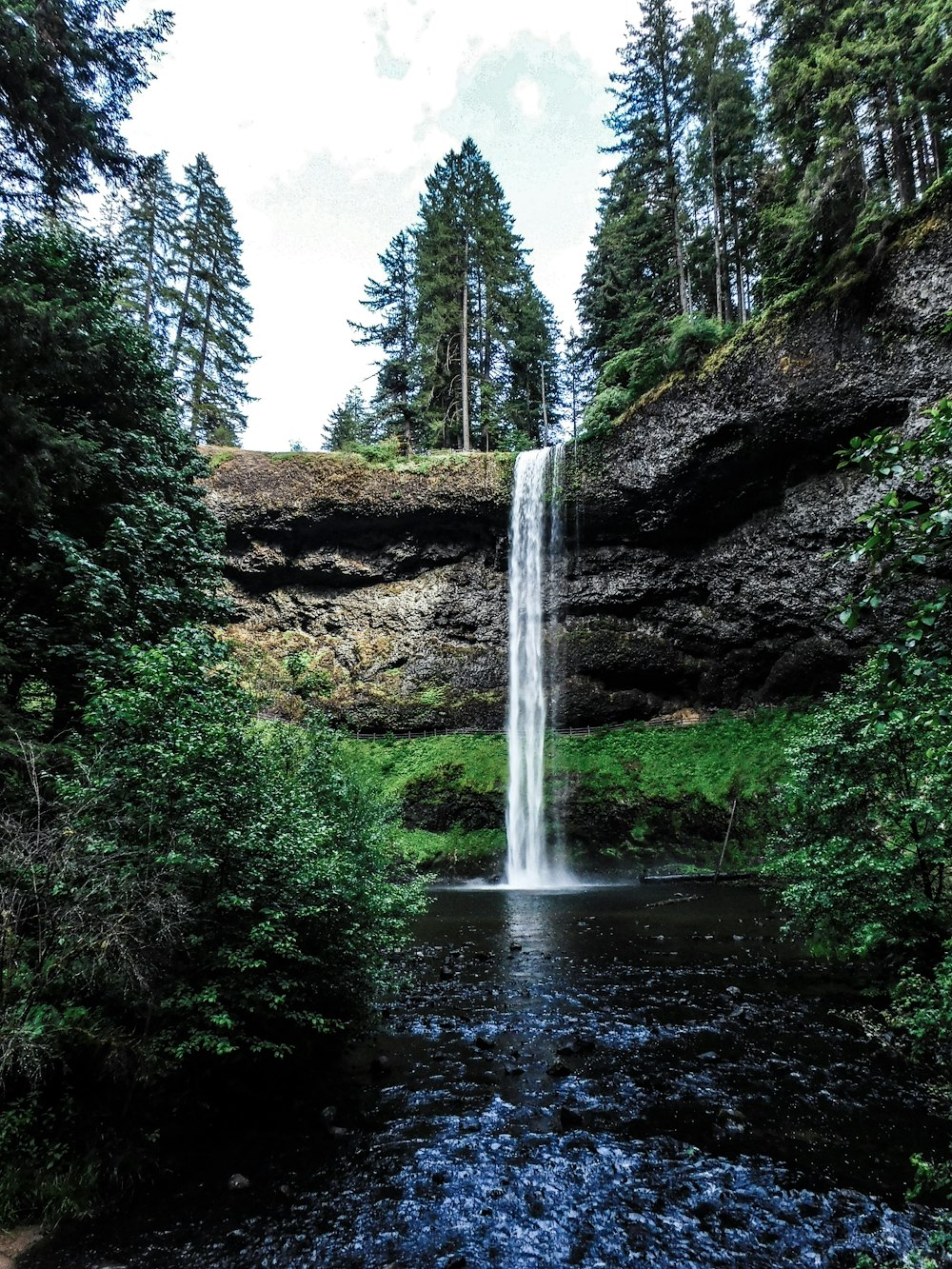 a small waterfall in the middle of a forest