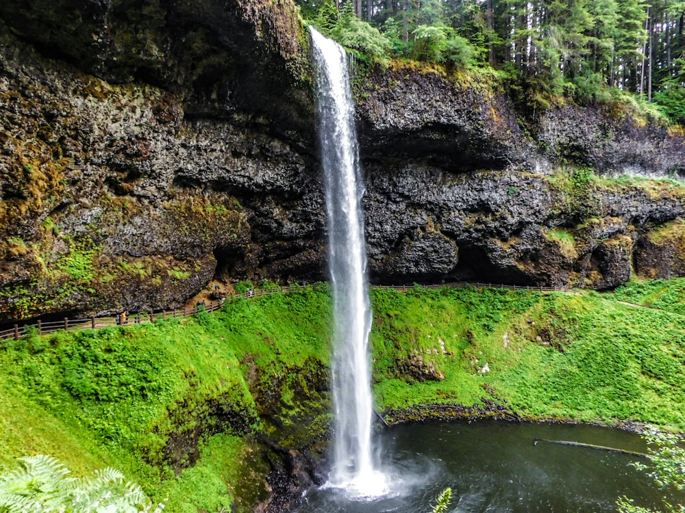 a large waterfall in the middle of a lush green forest