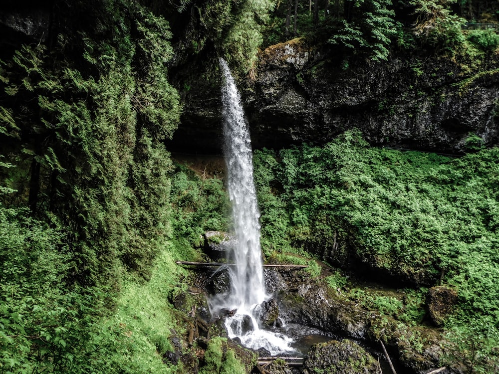 a waterfall in the middle of a lush green forest