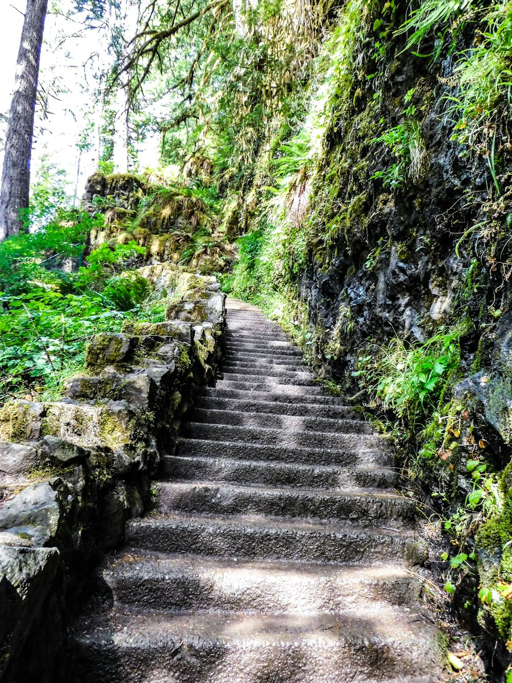 a set of stairs leading up to the top of a cliff