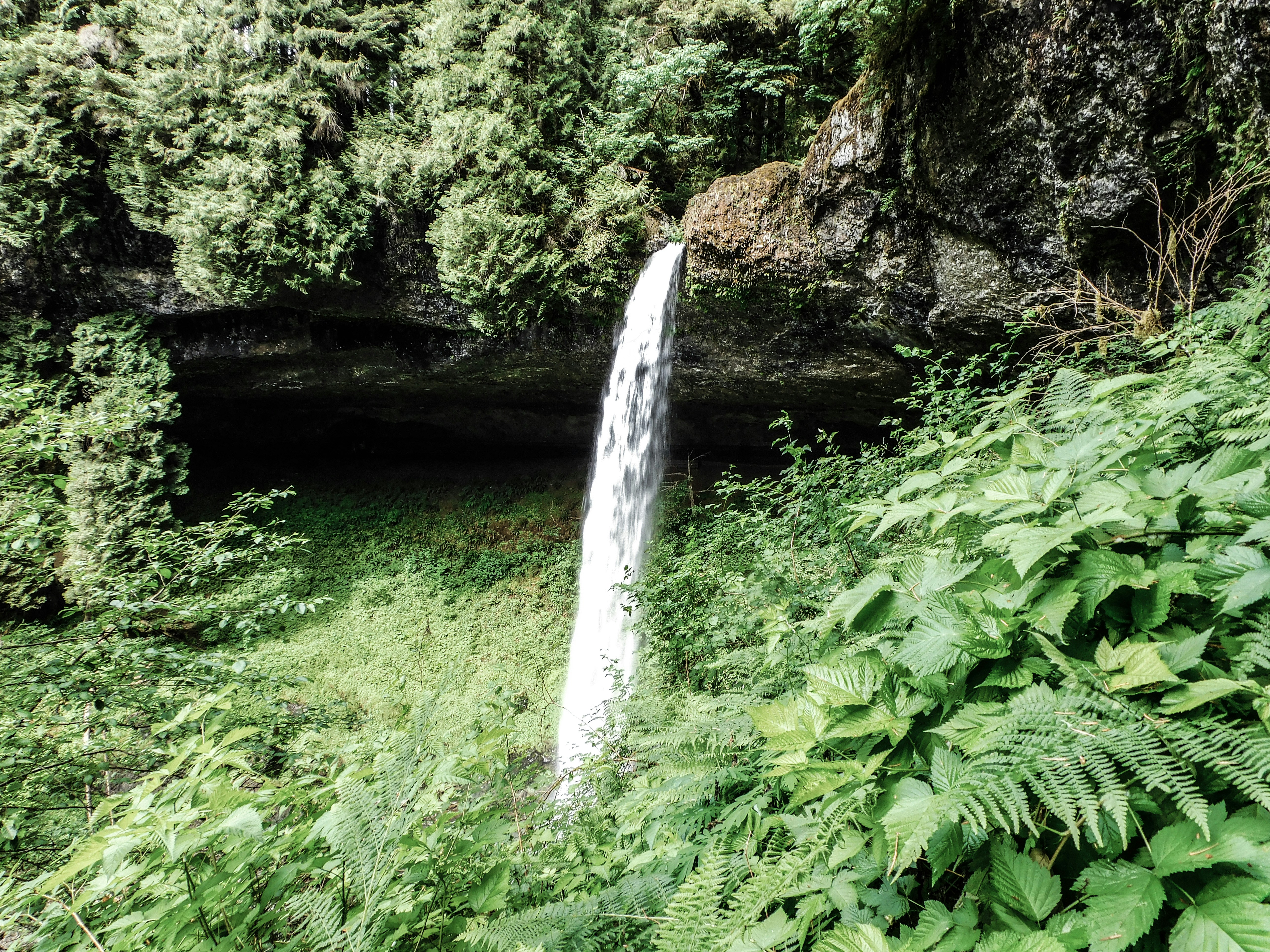 Photo by prphotography262