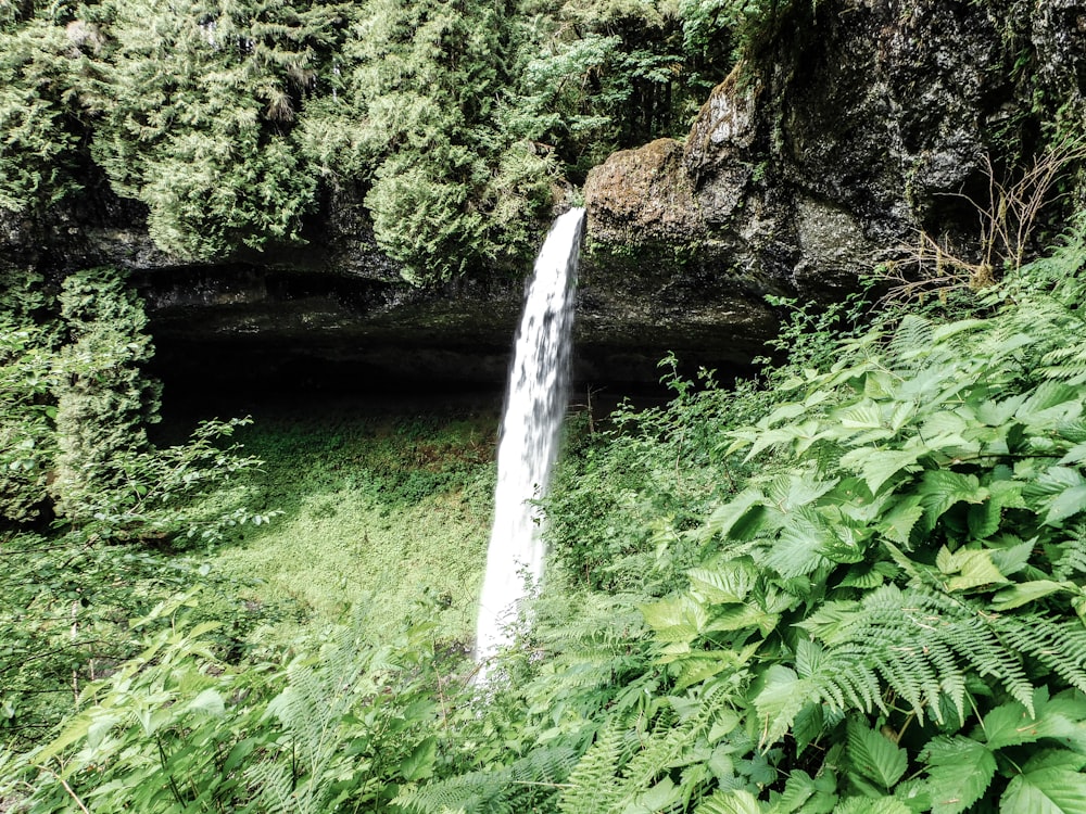 a waterfall in the middle of a lush green forest