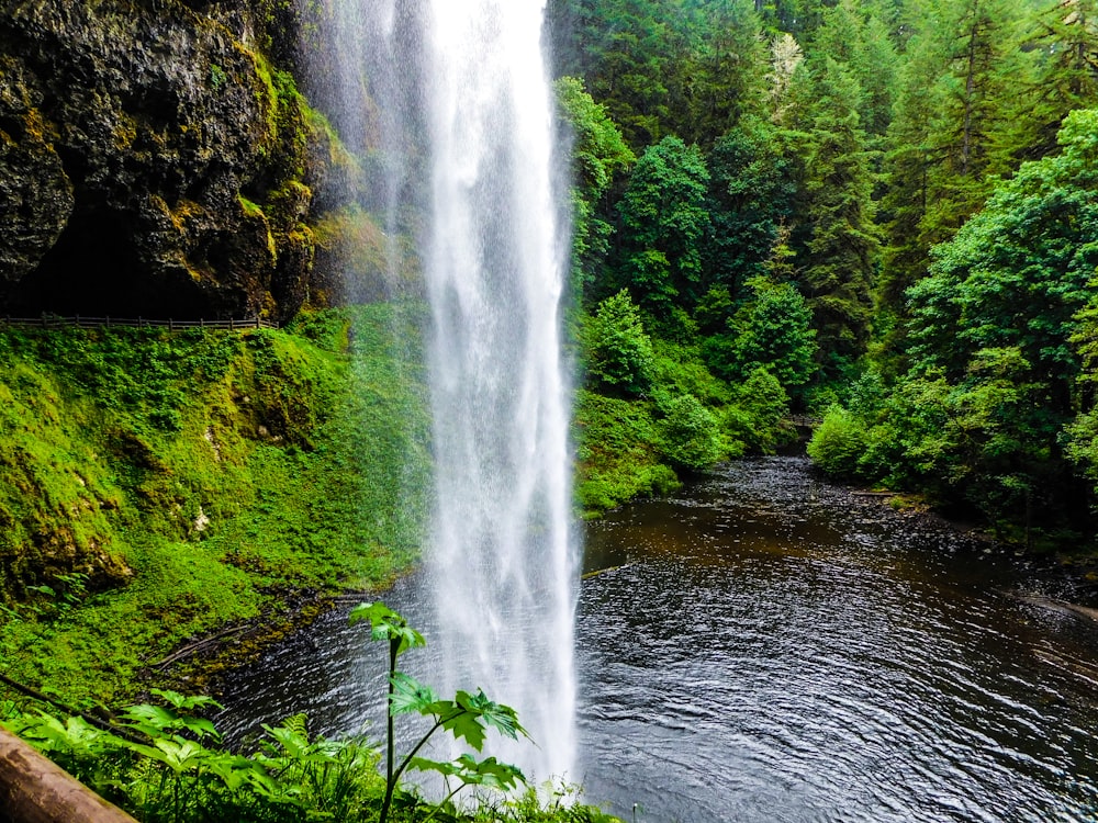 una grande cascata nel mezzo di una foresta