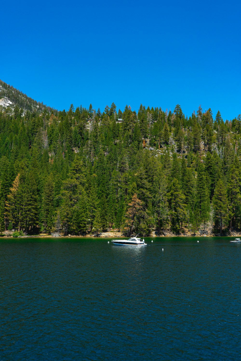 a boat floating on top of a lake next to a forest