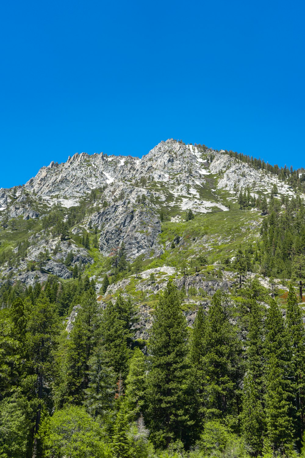 a mountain covered in trees and a blue sky