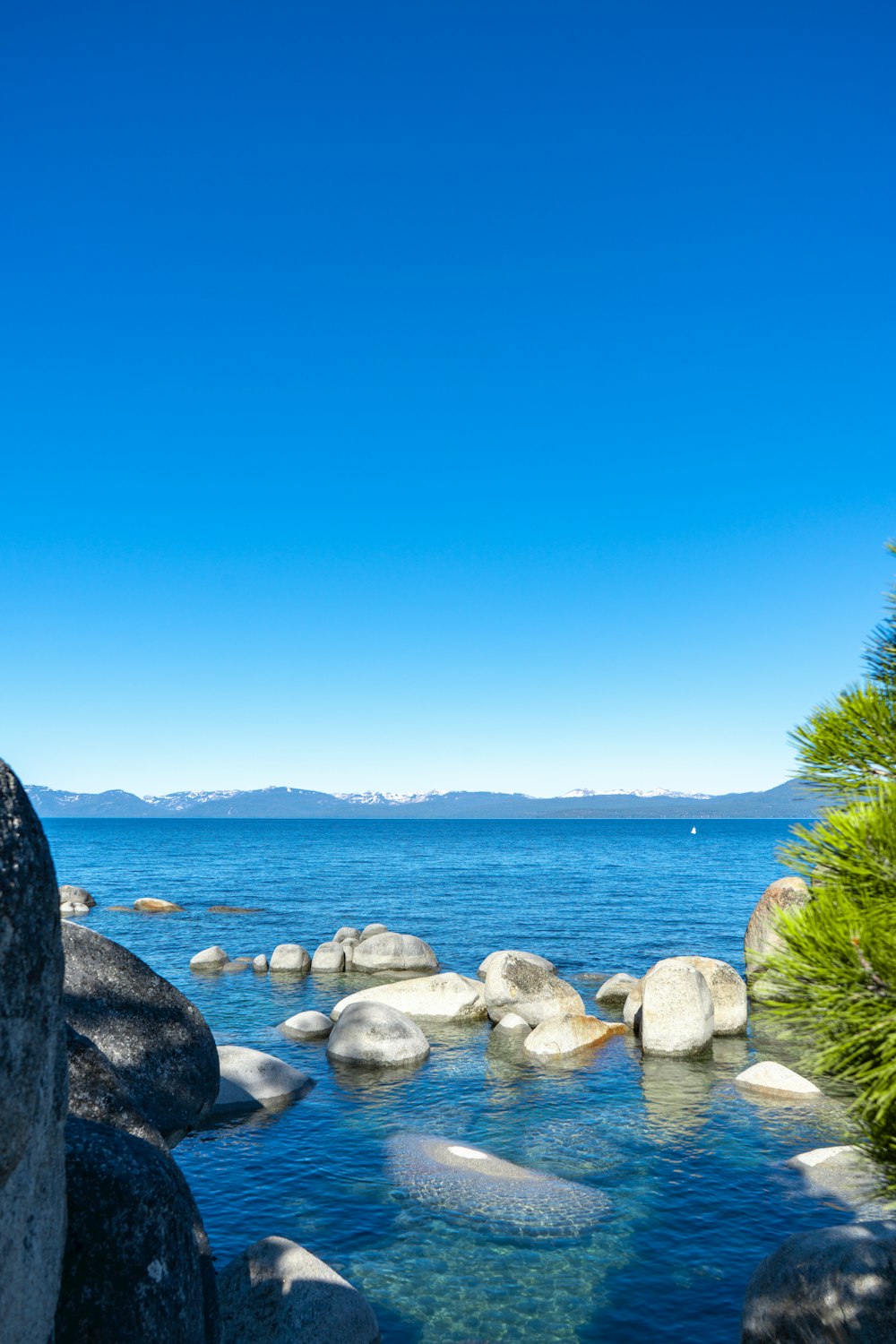 a body of water surrounded by rocks and trees