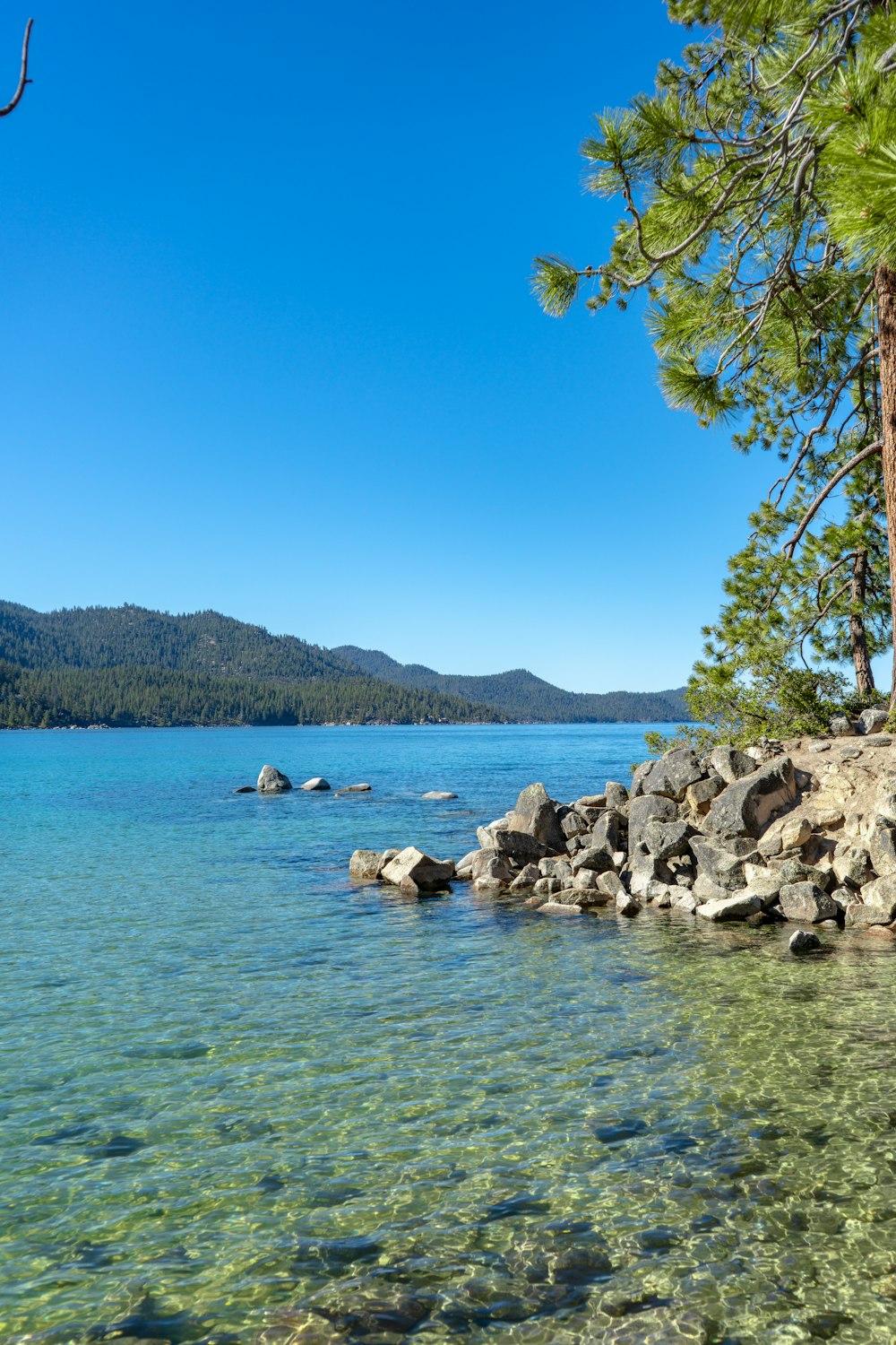 a body of water surrounded by trees and rocks