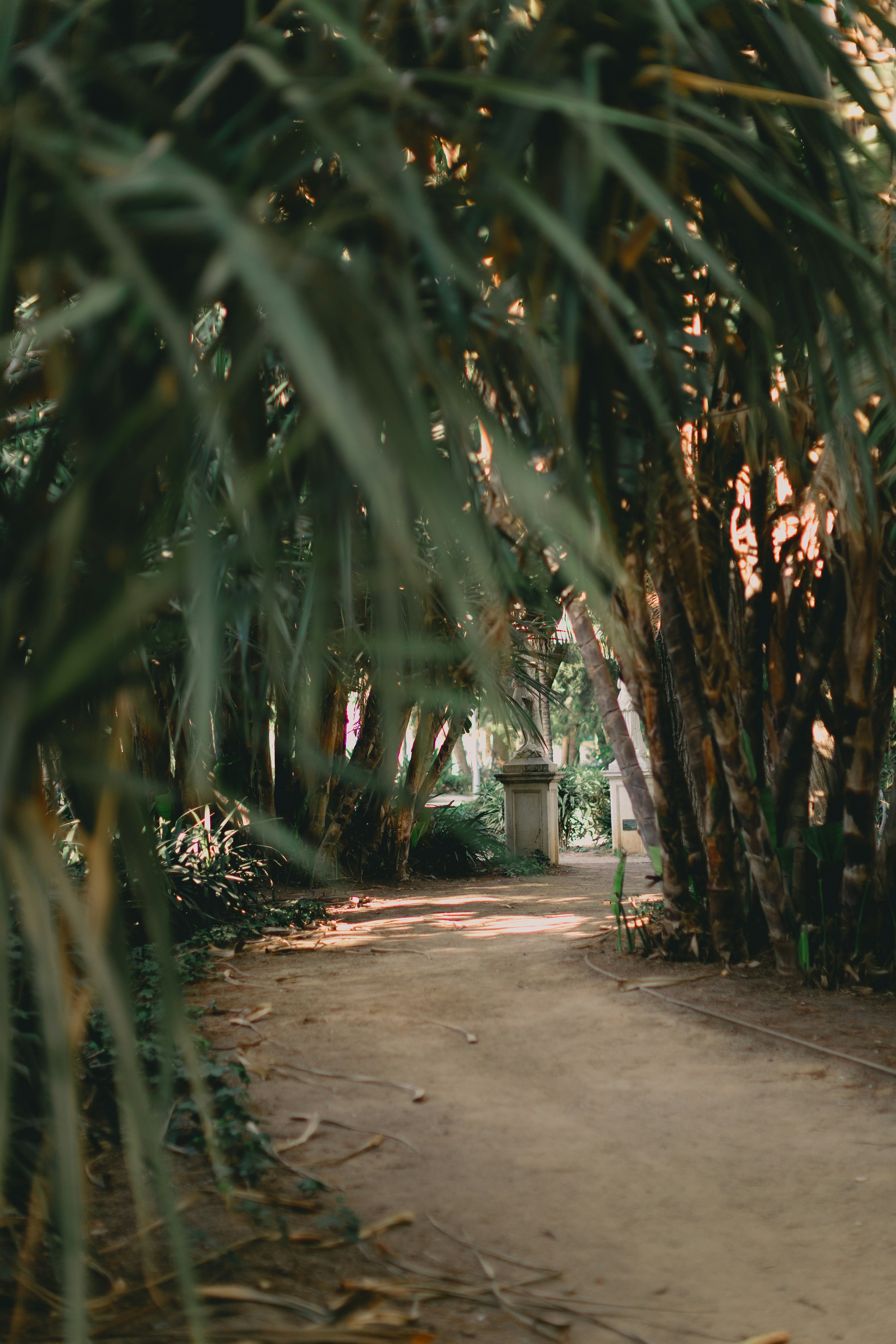 Photo by juliamatuzova