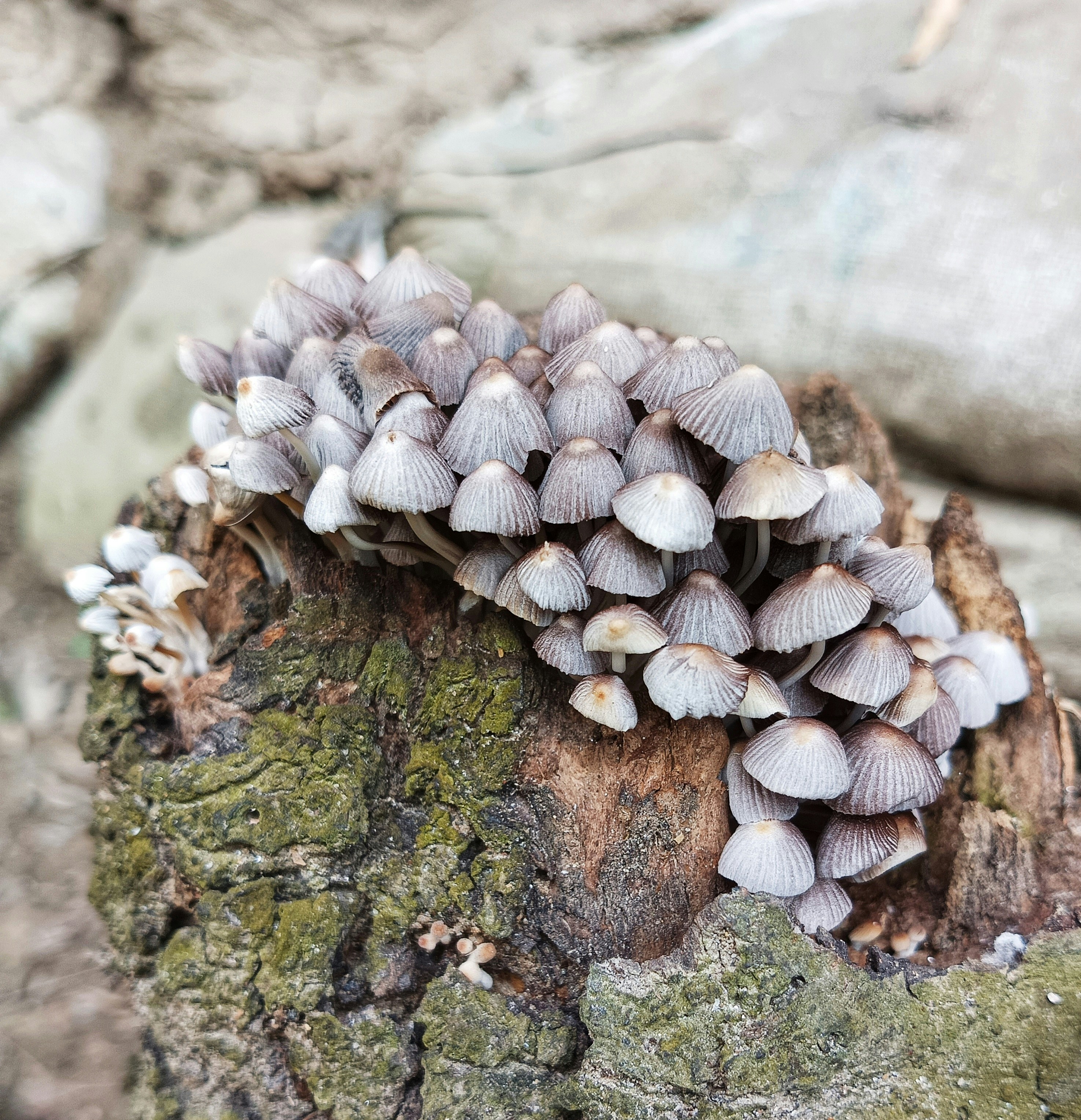 Photo by nazmulhaque