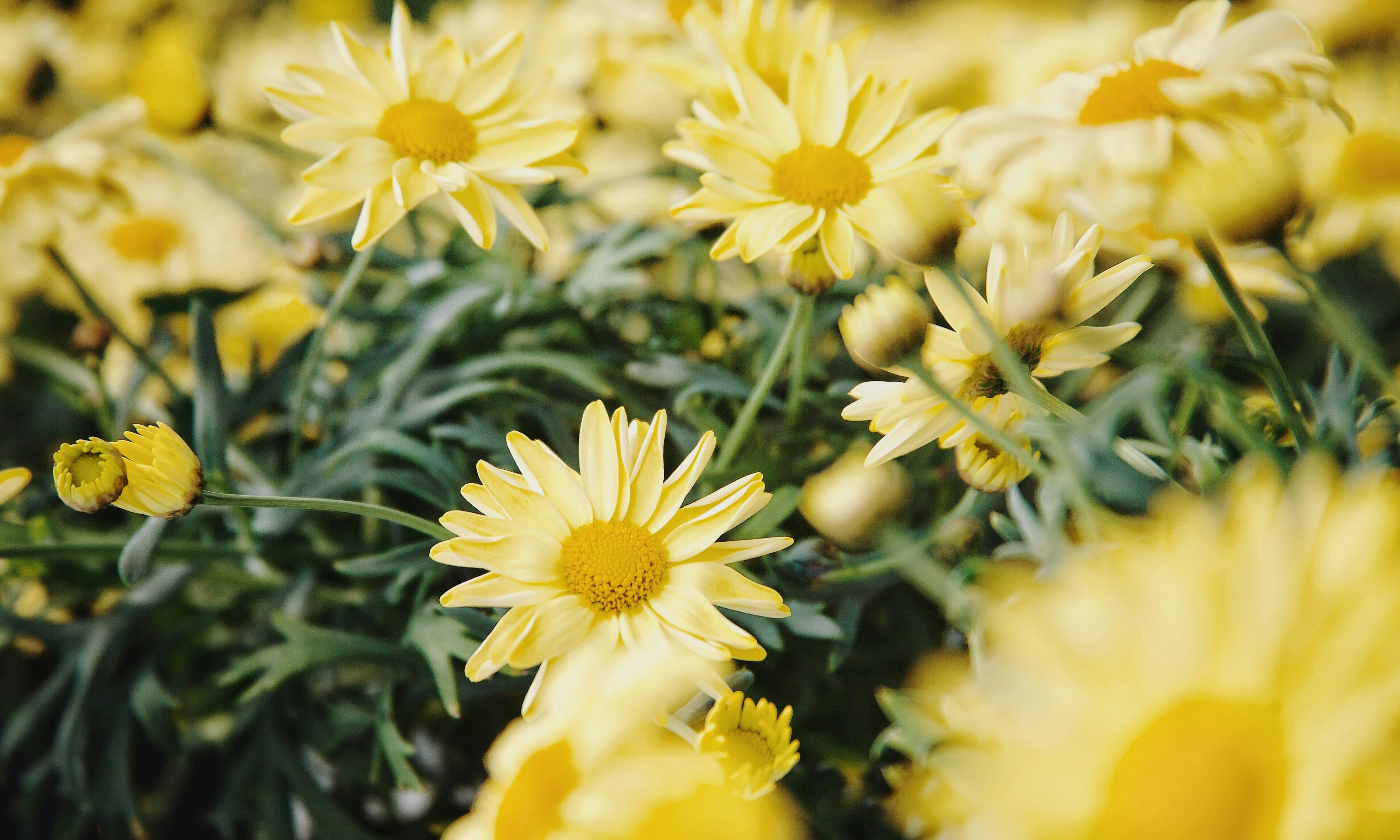 Photo by kristinokarlsen