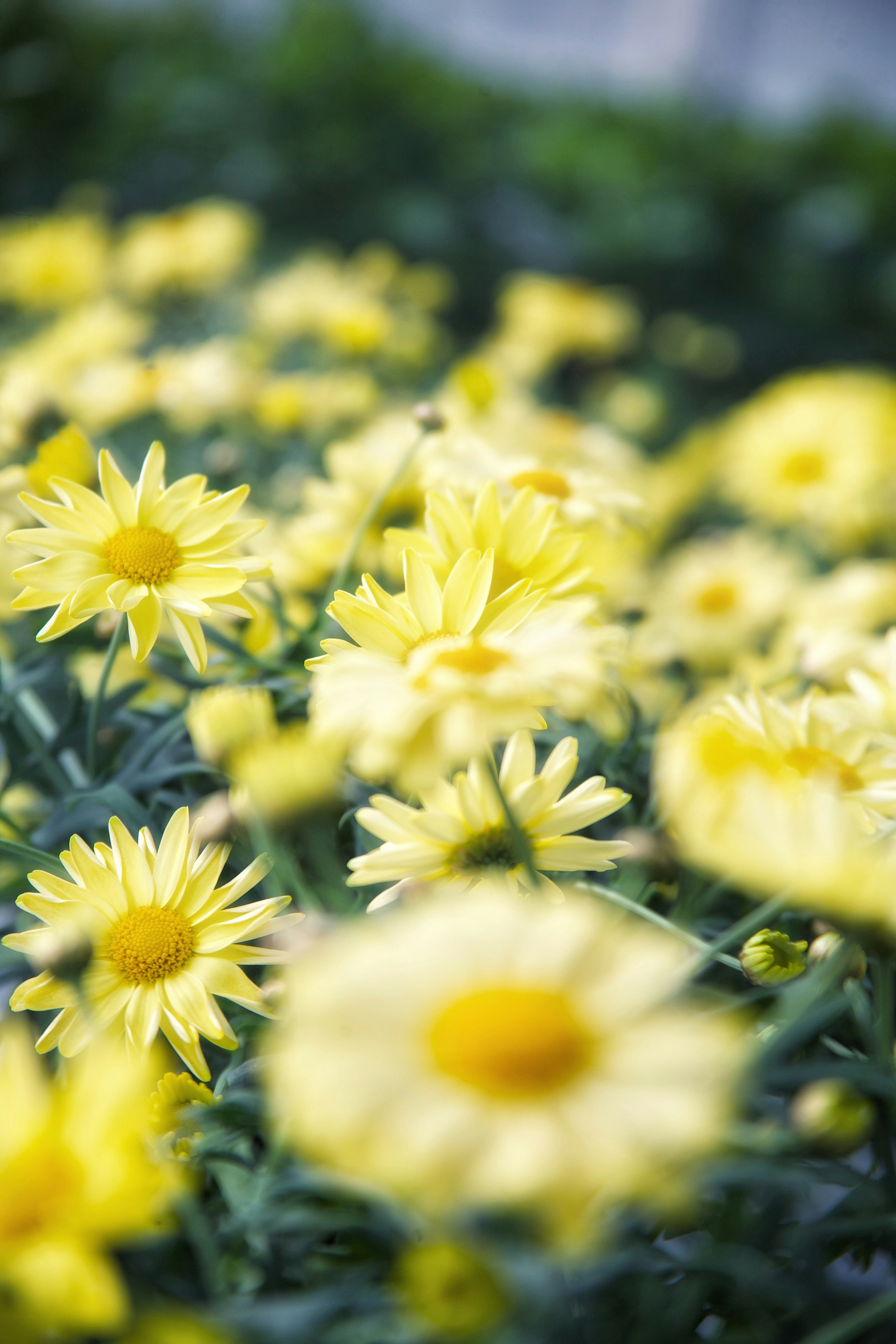 Photo by kristinokarlsen