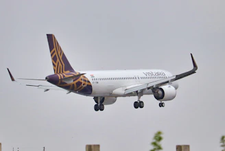 A desktop screen displaying the Vistara social media feed filled with playful photo posts.