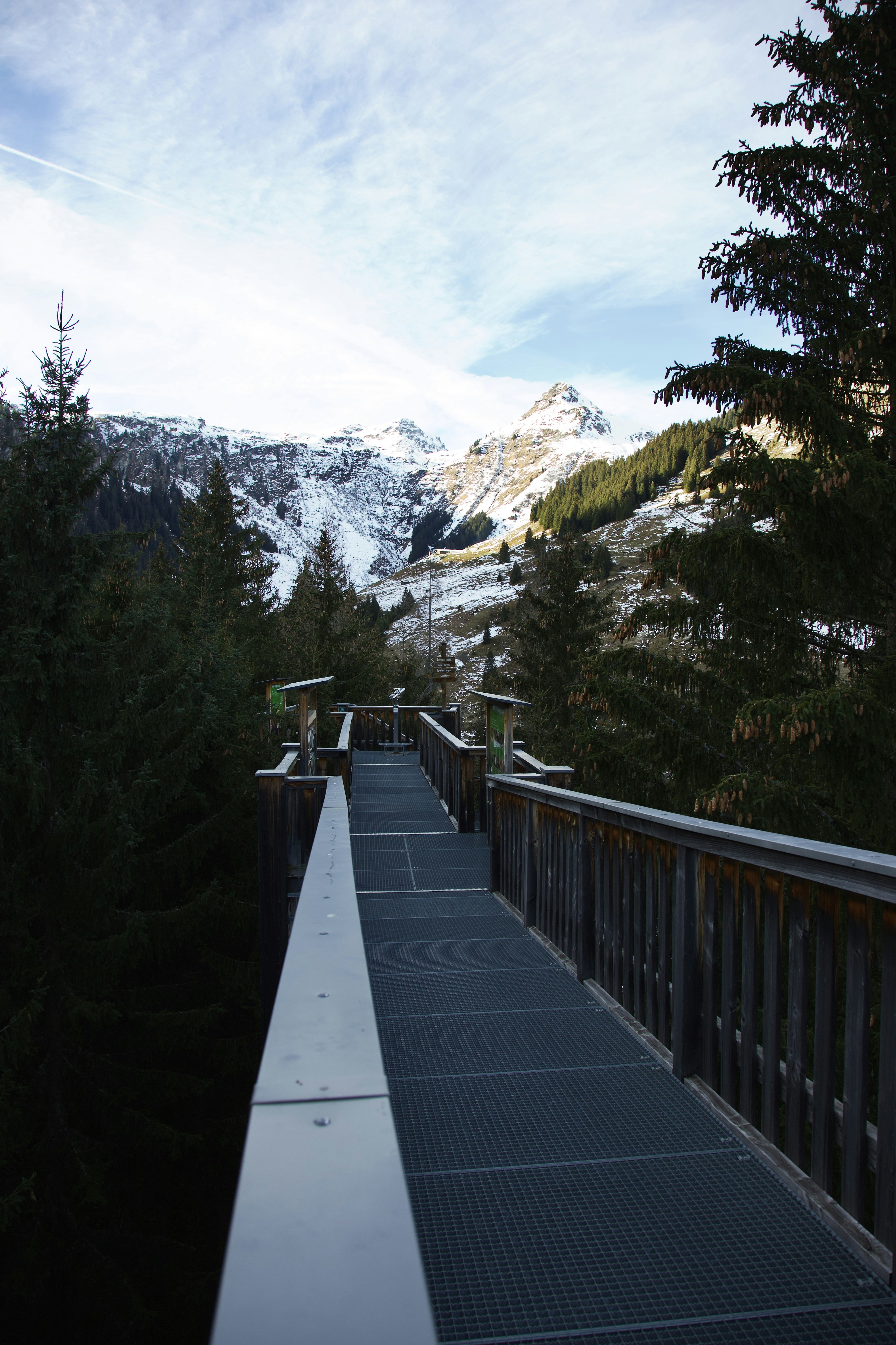 photo-1687891993784-da5f84824900?ixid=M3