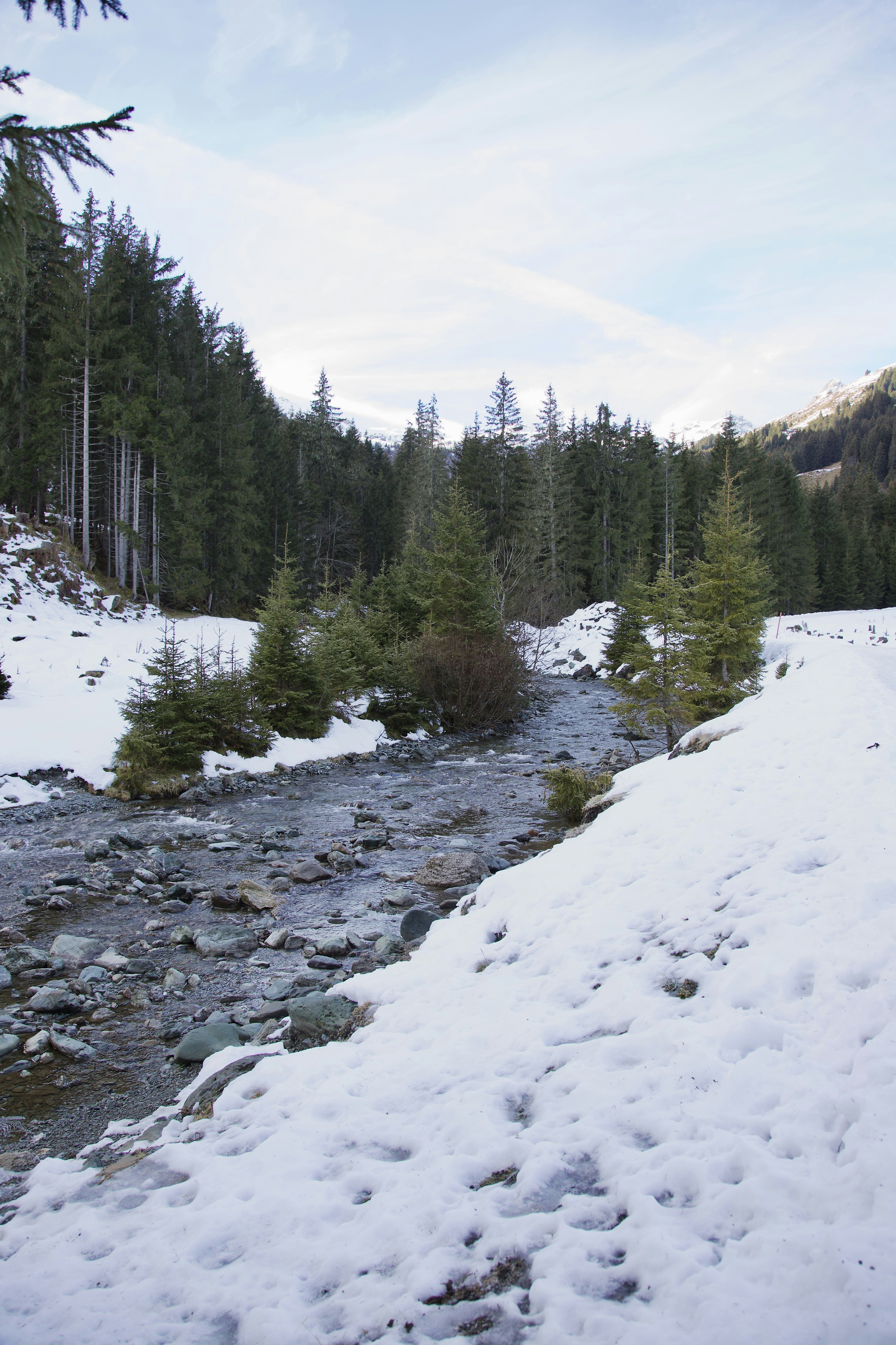 a river running through a snow covered forest
