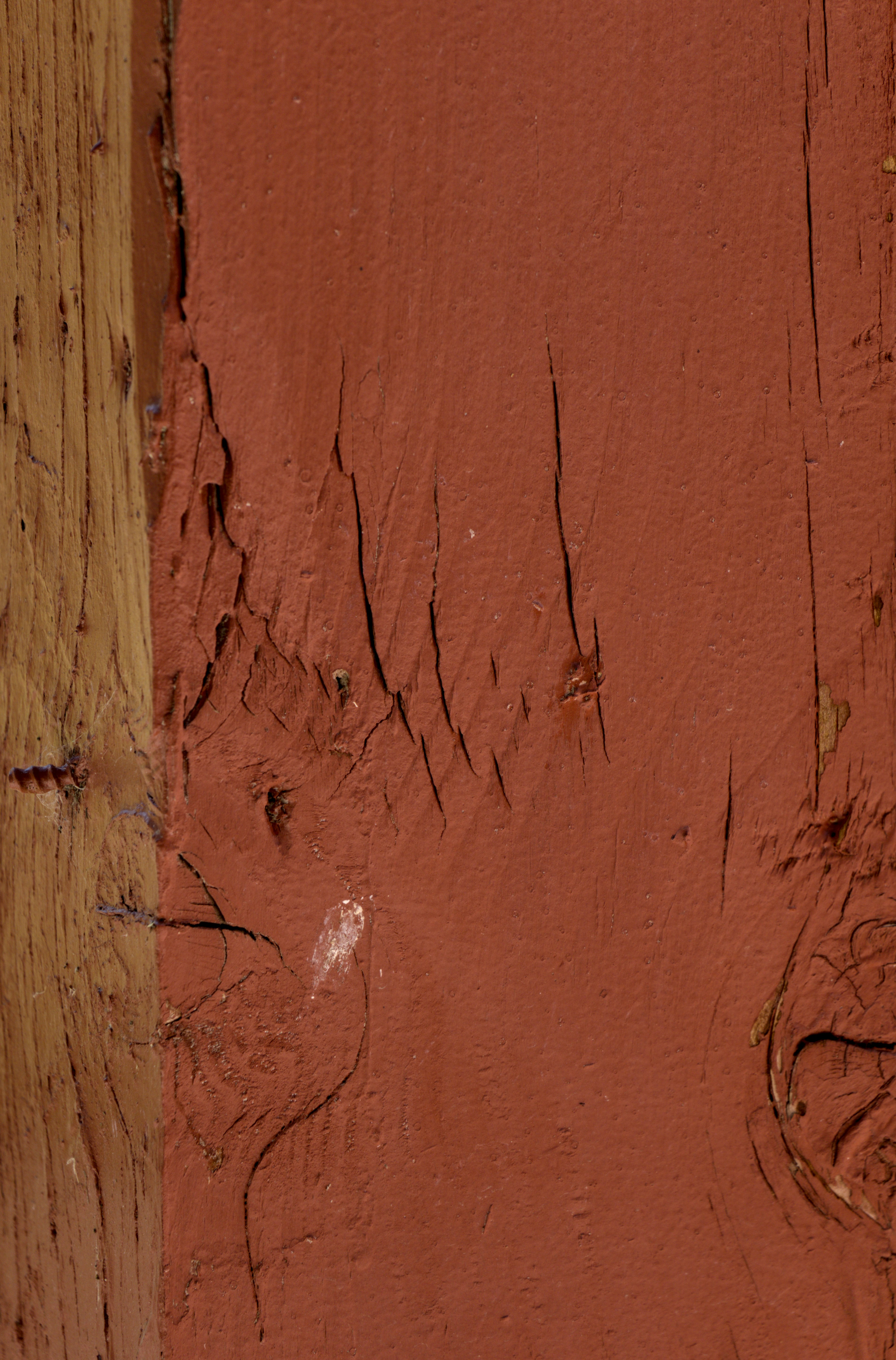 Photo by schnappi_76