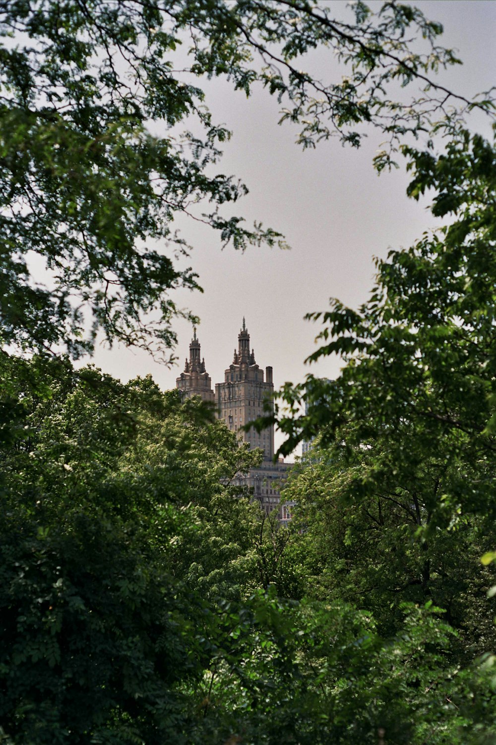 a view of a building through the trees