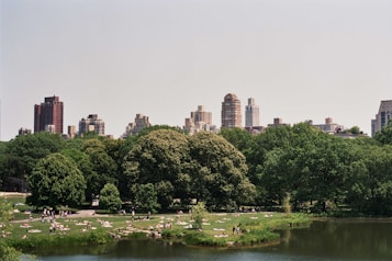 A large, lush park with green trees and a grassy area populated by people relaxing and sunbathing. In the background, a diverse city skyline with tall buildings is visible under a clear sky. A calm body of water is in the foreground, reflecting some greenery.