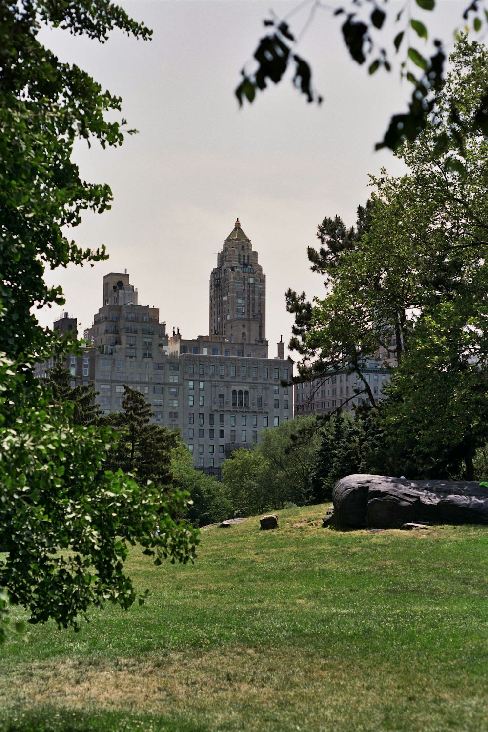 a view of a city from a park