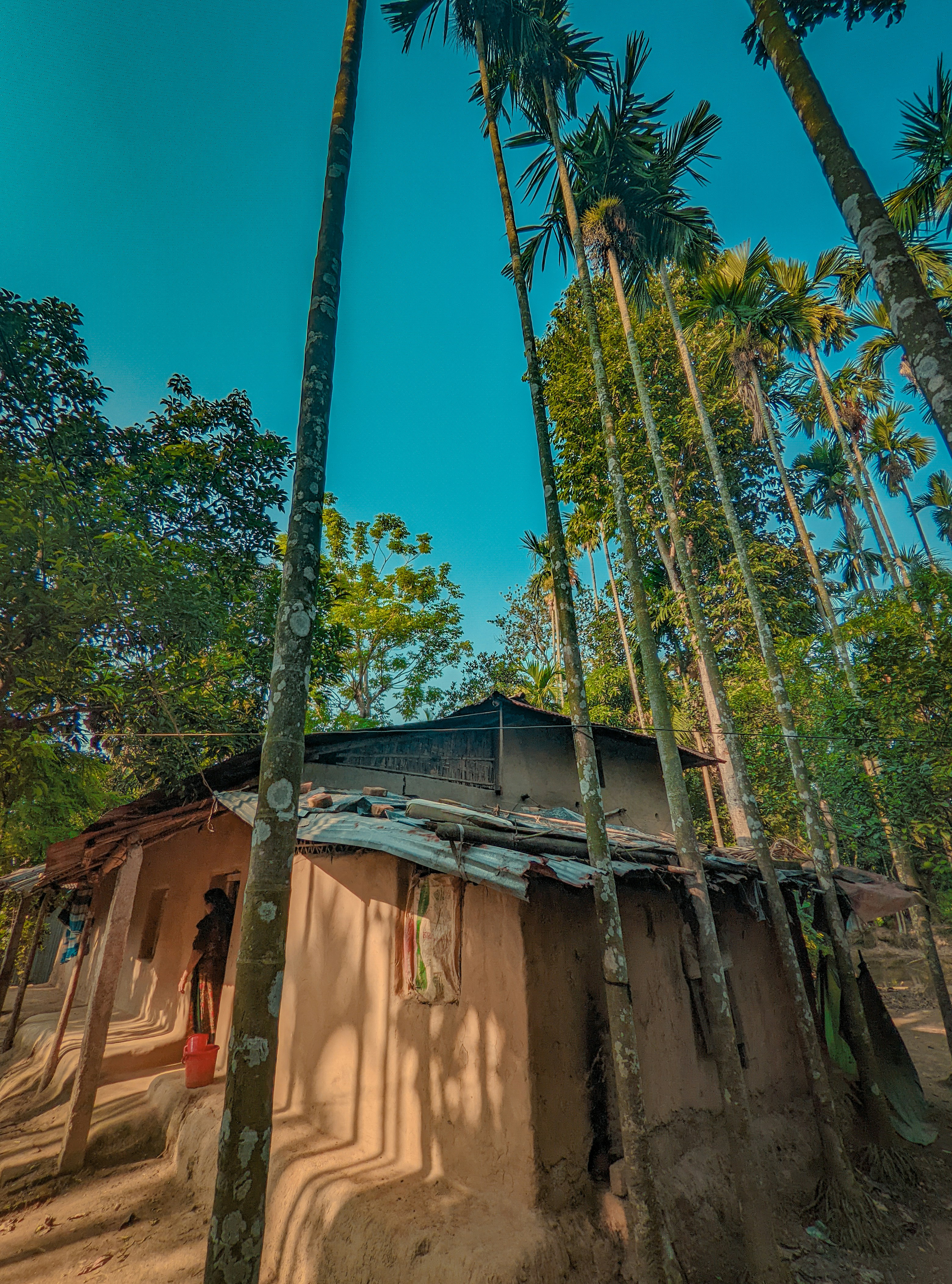 Photo by saifurrahmanbijoy