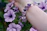 Close-up of a hand wearing a delicate amethyst bracelet with natural light highlighting the stone's purple hues.