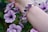A wrist adorned with a bracelet composed of large, faceted purple gemstones and a small metal charm. The background features vibrant purple flowers with rich green foliage.