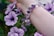 A wrist adorned with a bracelet composed of large, faceted purple gemstones and a small metal charm. The background features vibrant purple flowers with rich green foliage.