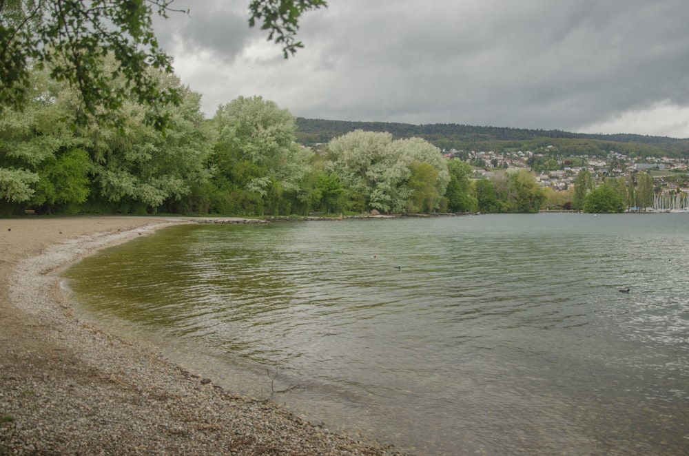 a large body of water surrounded by trees