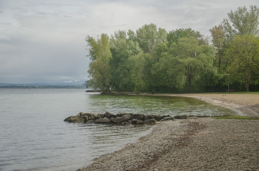 a body of water surrounded by trees and rocks