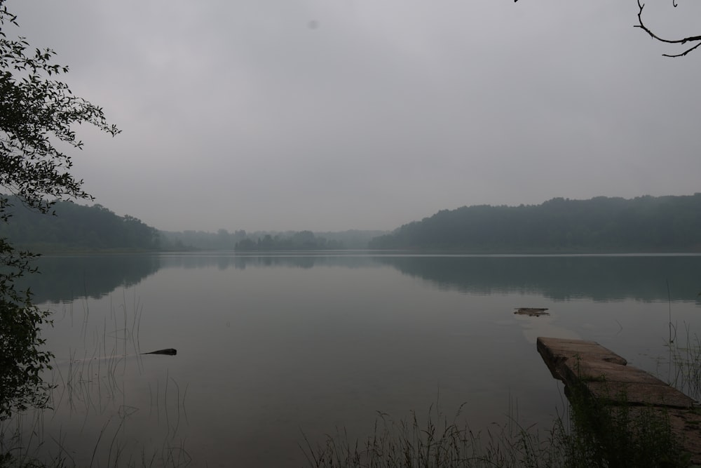 a body of water surrounded by trees on a foggy day