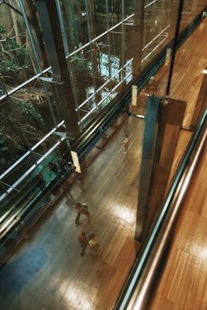 A spacious and modern interior with polished wooden floors and large glass windows. Several people can be seen walking, casting reflections on the shiny floor. Outside the windows, dense greenery is visible, adding a natural element to the architectural design.