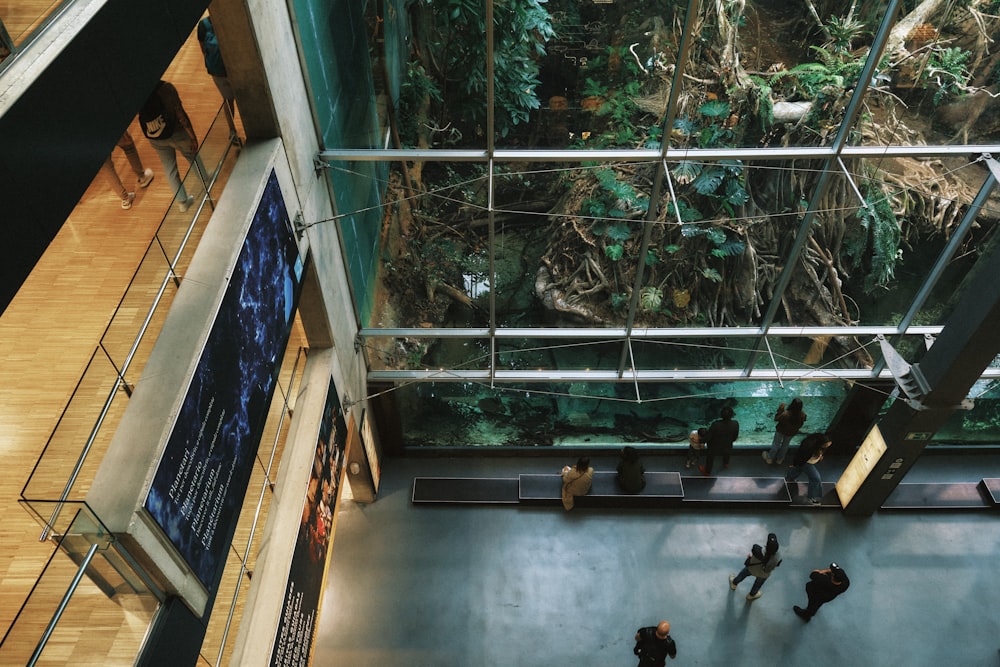 a group of people walking around a building