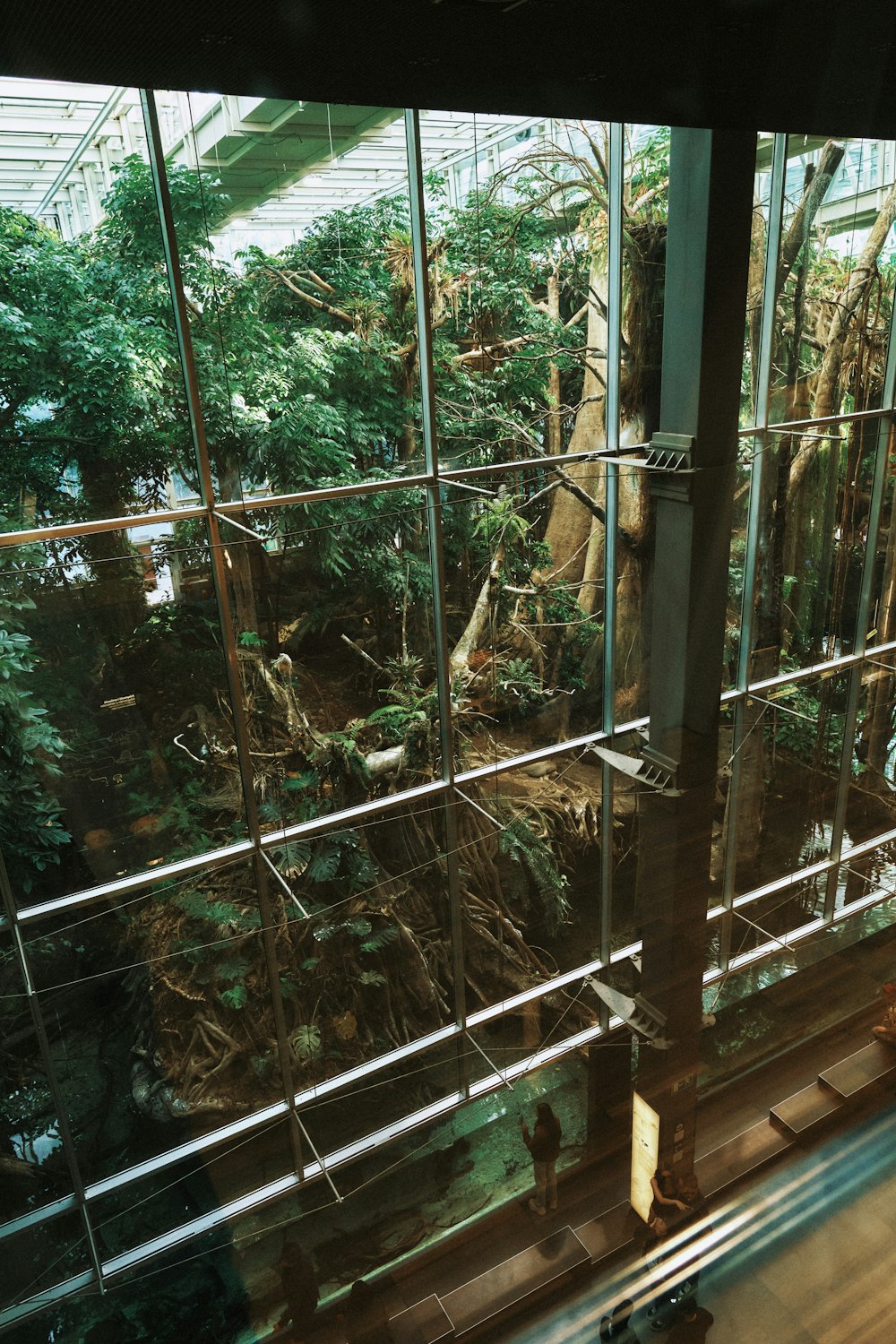 a view of a forest through a glass window