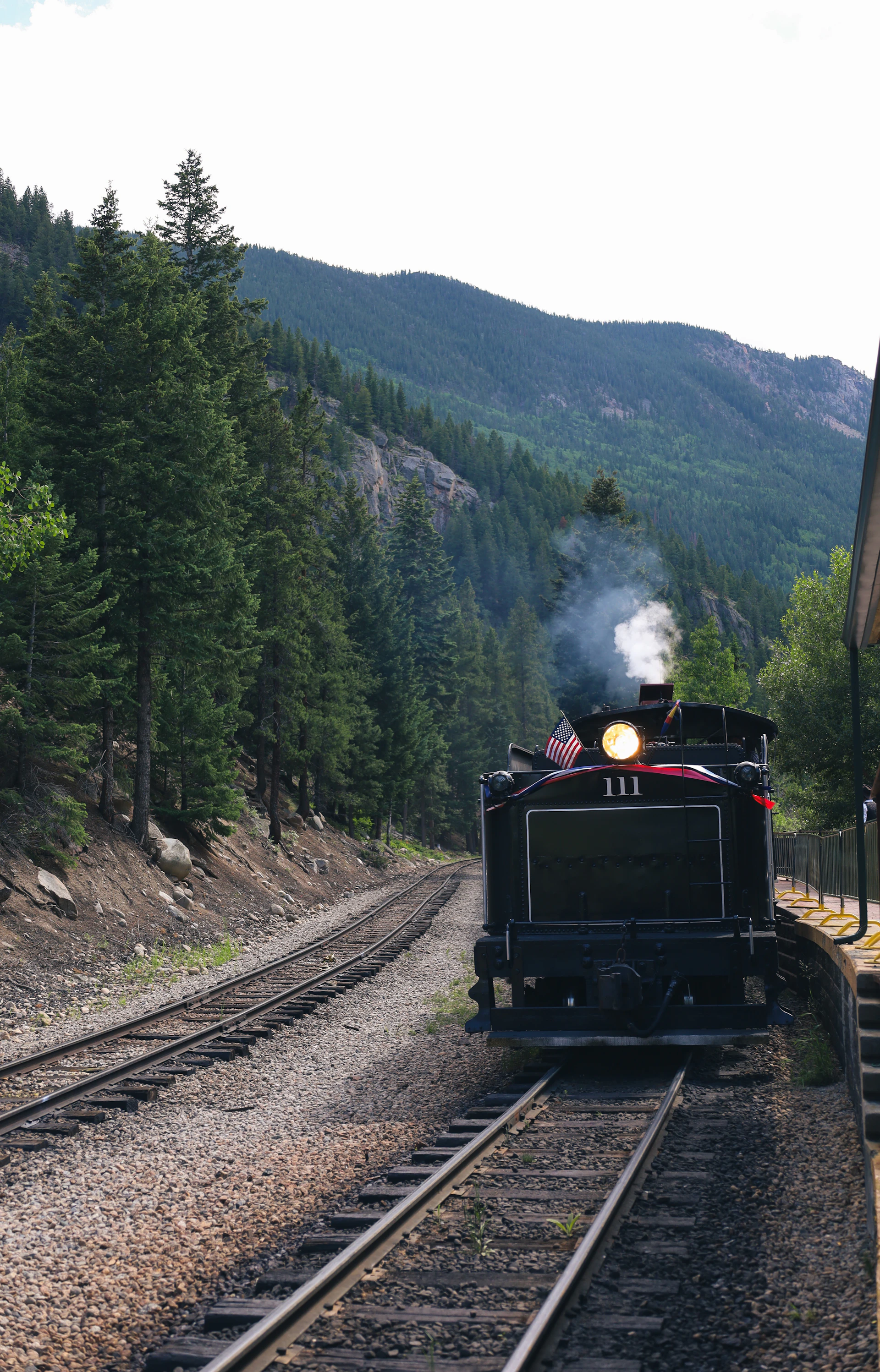 woman holding dried flower