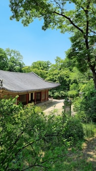 A traditional building with a tiled roof surrounded by lush green trees and vegetation, set under a clear blue sky. The architecture suggests cultural significance, with wooden elements and ornate details.