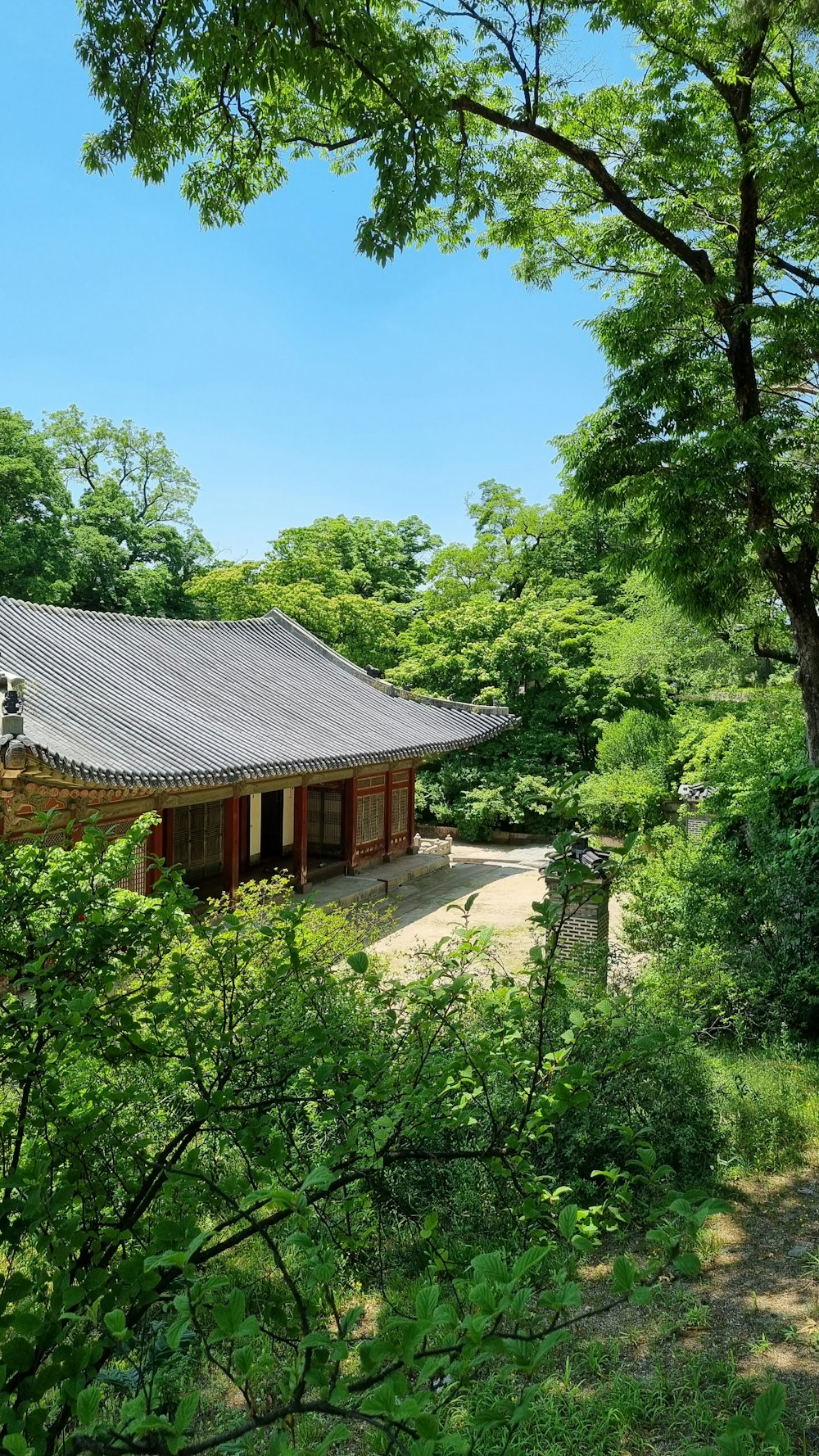 a small building in the middle of a forest