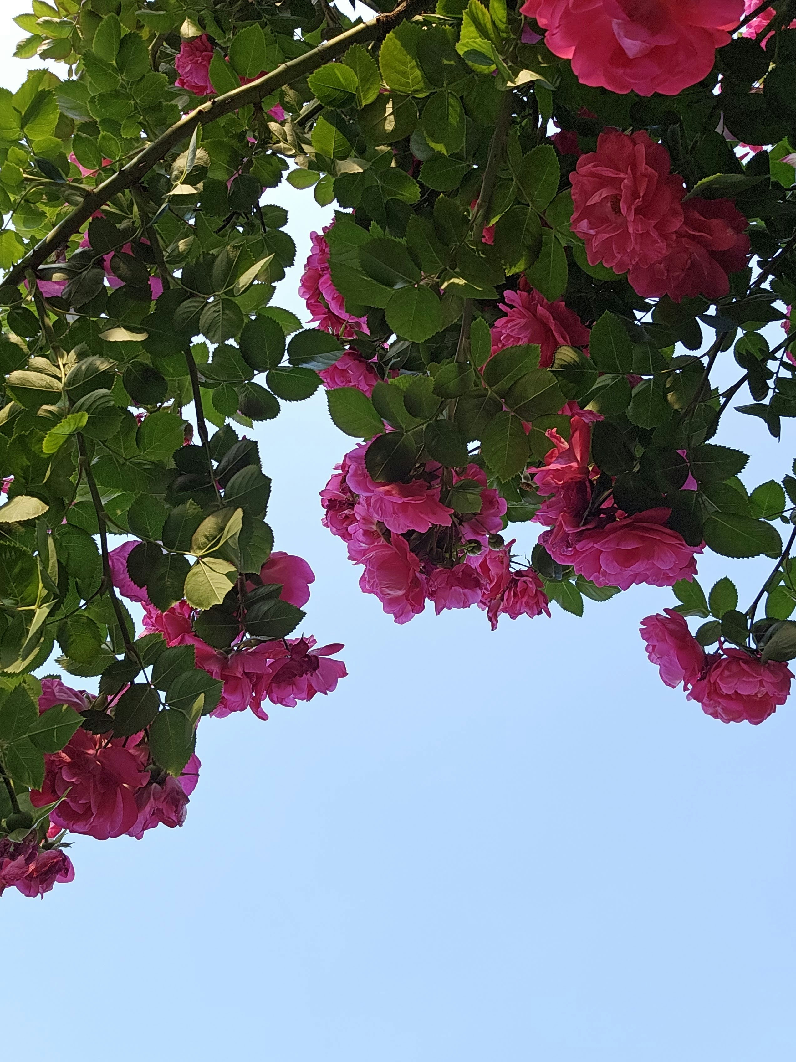 Photo by photosensitive