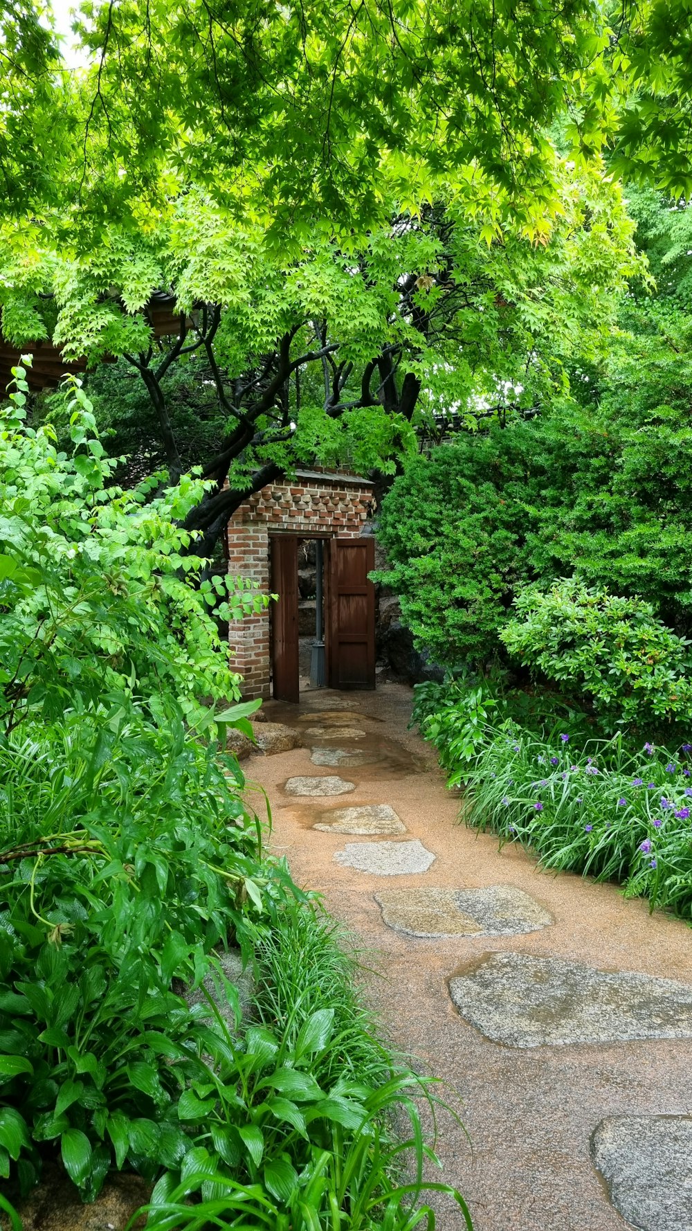 a path leading to a small building in the middle of a forest