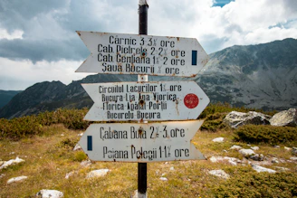a pole with a bunch of signs on top of it
