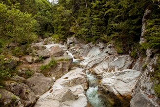 A serene nature scene with a crystal-clear mountain spring flowing gently over smooth stones.