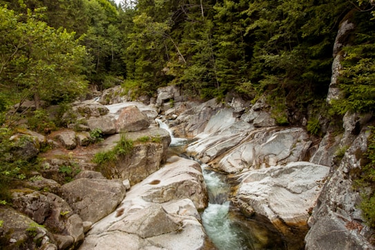 A serene mountain stream flows through rocky terrain surrounded by lush green trees. The water cascades over smooth stones, creating a natural and tranquil scene.