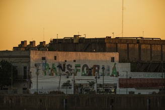 An artist painting a colorful mural on a public building during golden hour.