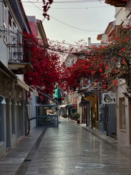 A charming street in Sorrento lined with flowers.
