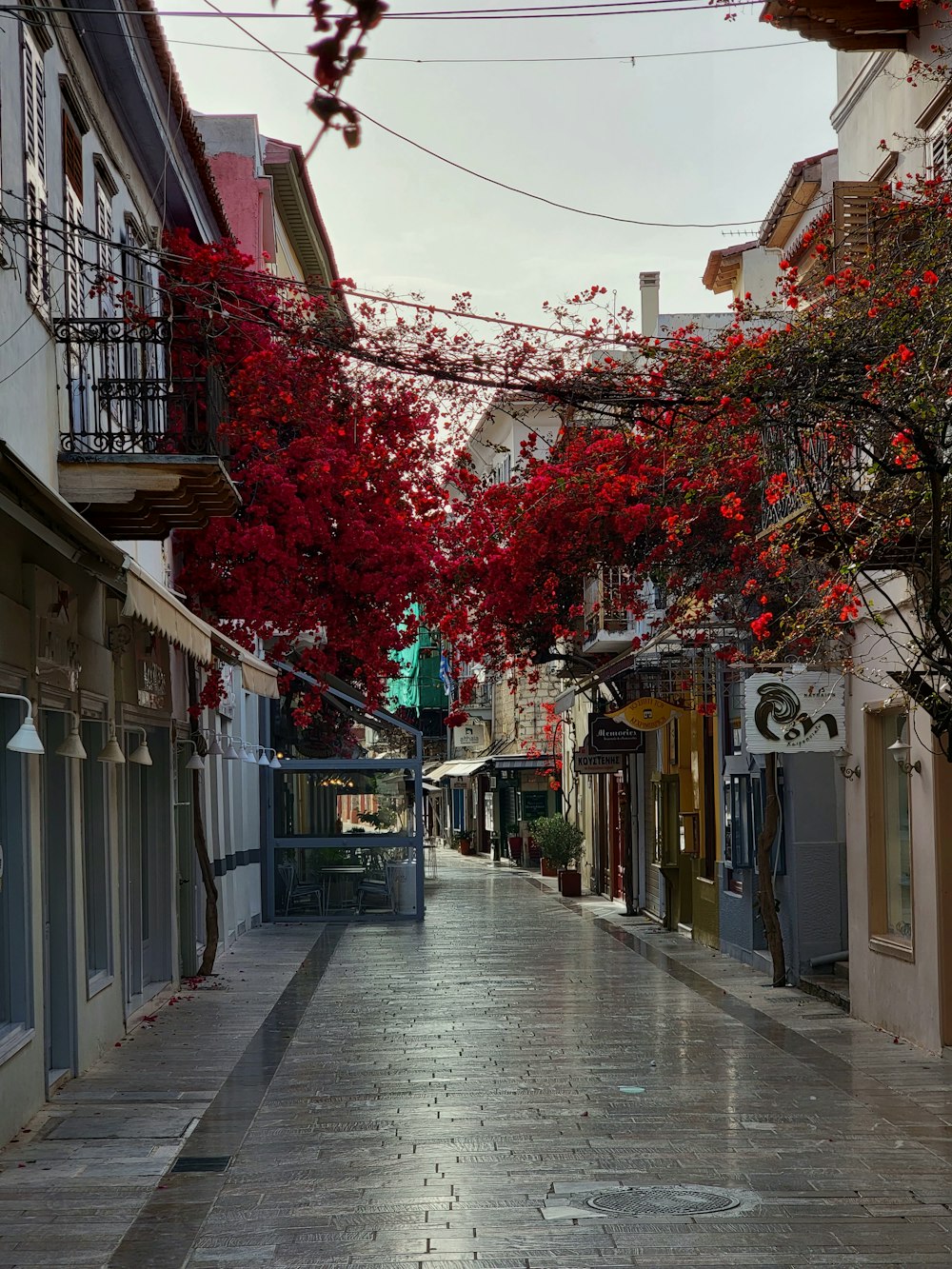 a city street with red flowers on the trees