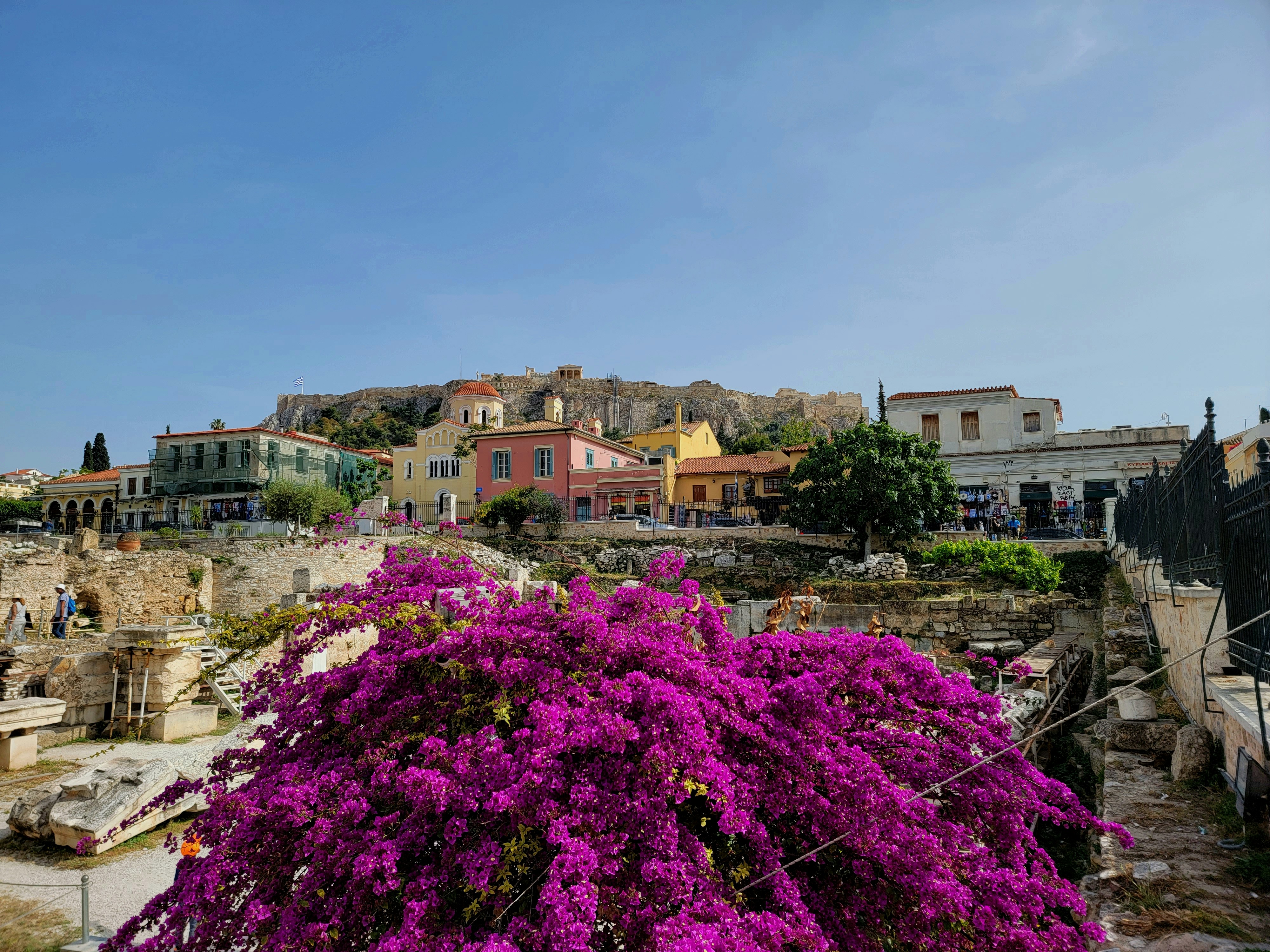 a bunch of purple flowers in front of some buildings