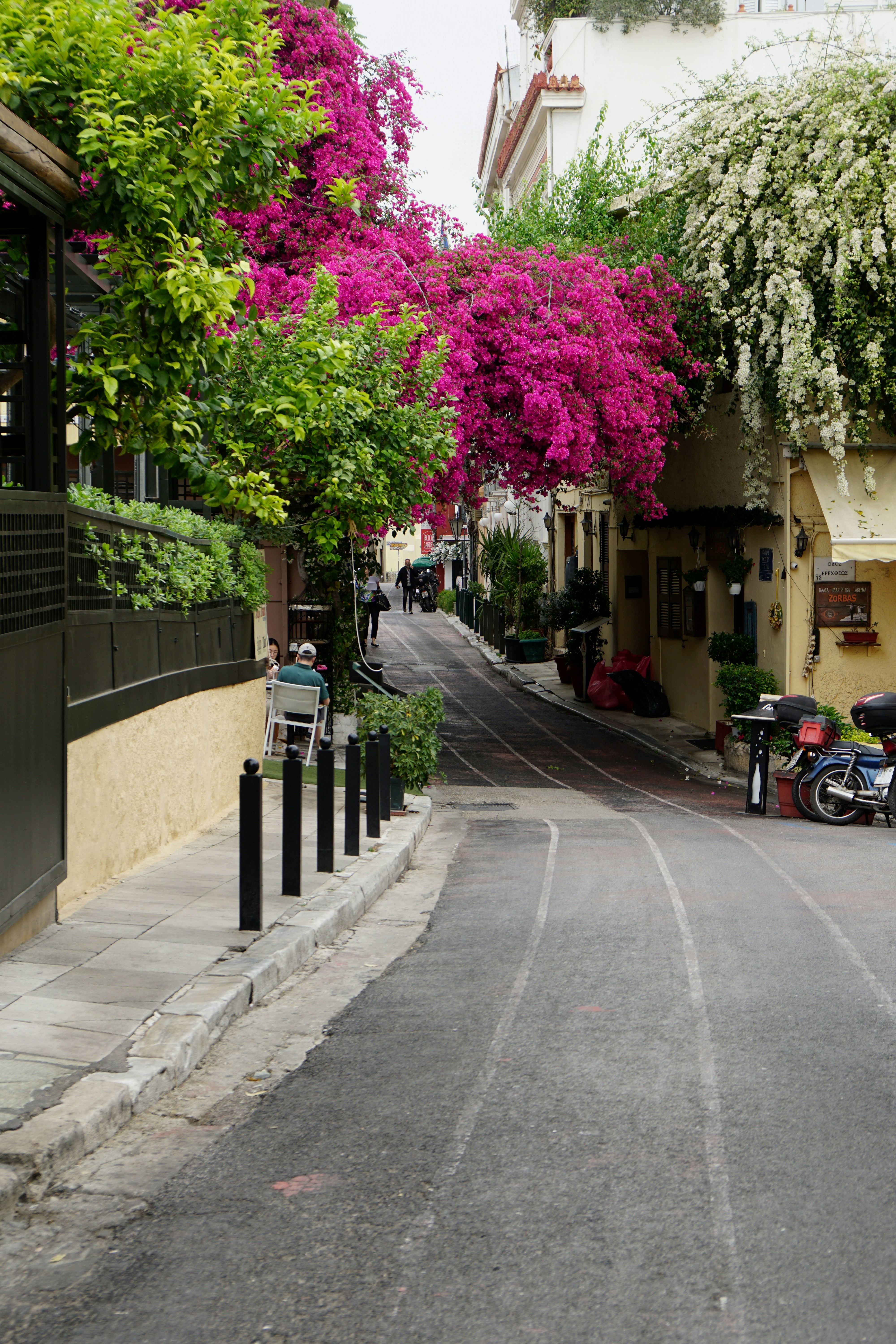 Photo by vladanraznatovic