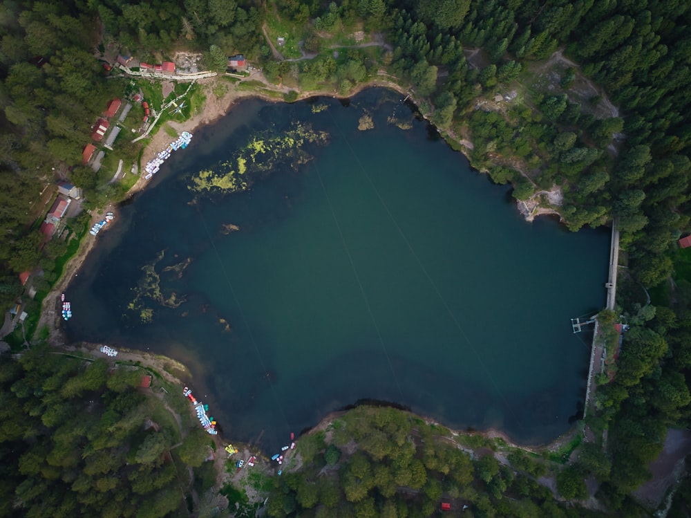 Una vista aérea de un lago rodeado de árboles