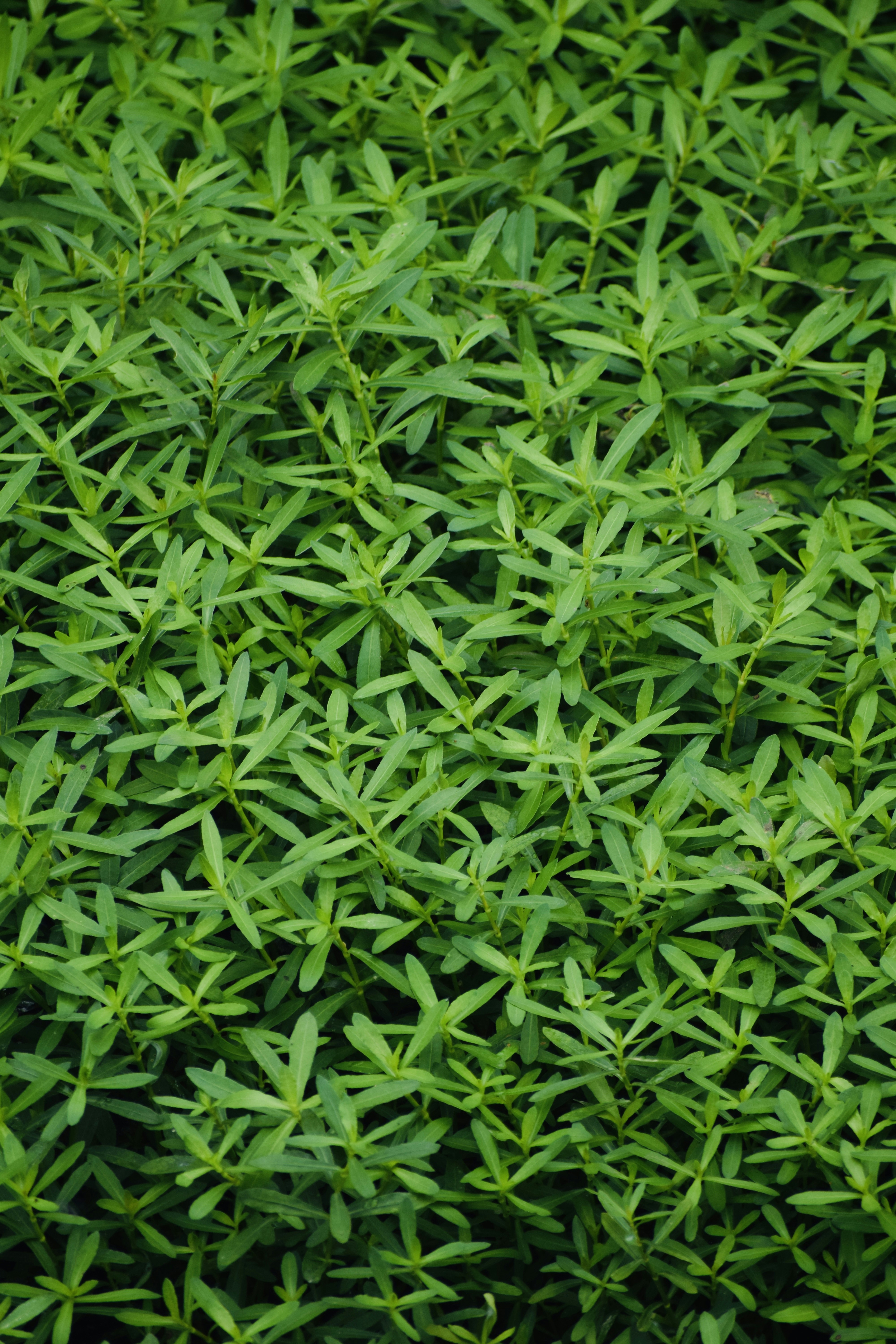 Photo by theushakiran